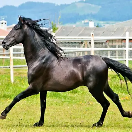 In Naron Near Pantin & Golf *