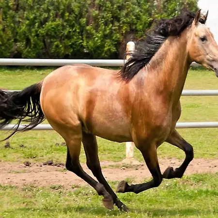 In Naron Near Pantin & Golf וילה